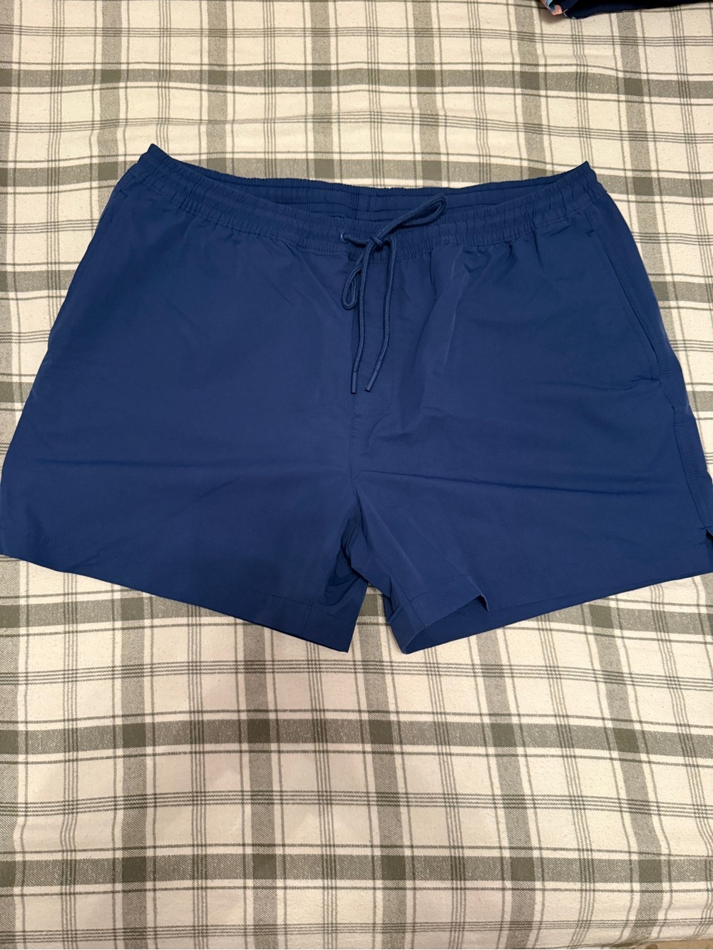 Sun + Stone Royal Blue Elastic Waist Shorts